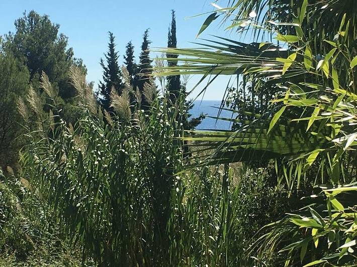 Location de vacances pour 4 personnes, avec vue et piscine ainsi que terrasse et jardin dans Plage Coupereau - 3