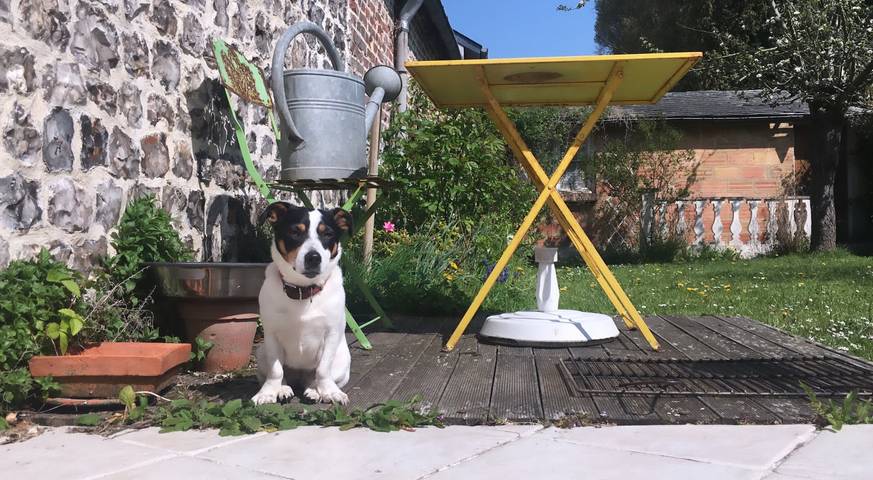 Gîte pour 5 personnes, avec terrasse et jardin à Saint-Valery-en-Caux - 2