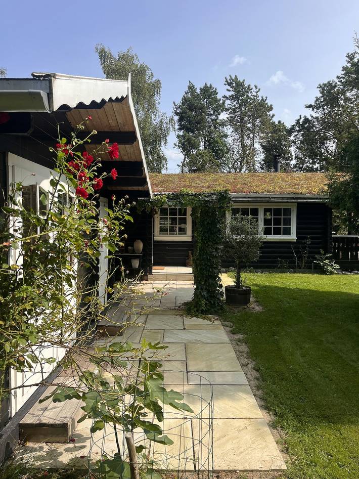 Ferienhaus für 5 Personen, mit Sauna und Terrasse, kinderfreundlich in Klint