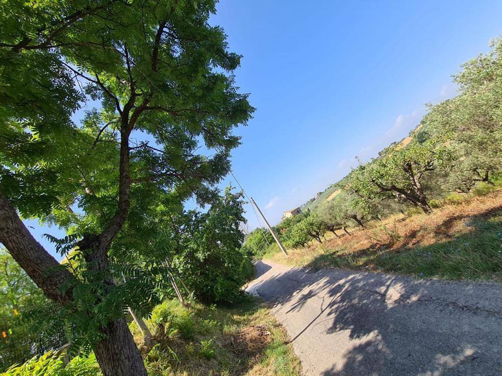 La Casetta in Collina - a pochi Km dal mare (Pe) in Spoltore, Provincia di Pescara