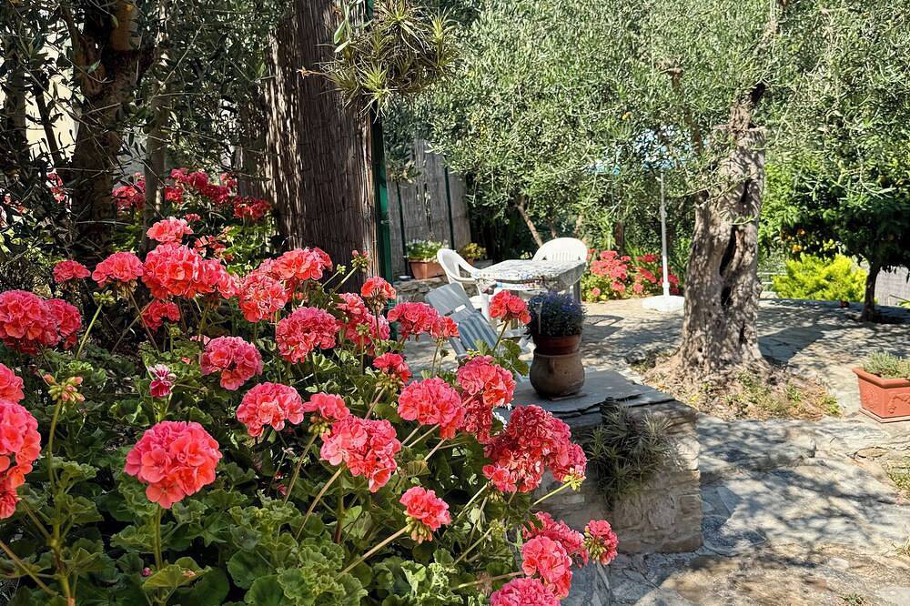 Ganze Wohnung, Piccola Navetta in Diano San Pietro, Riviera di Ponente