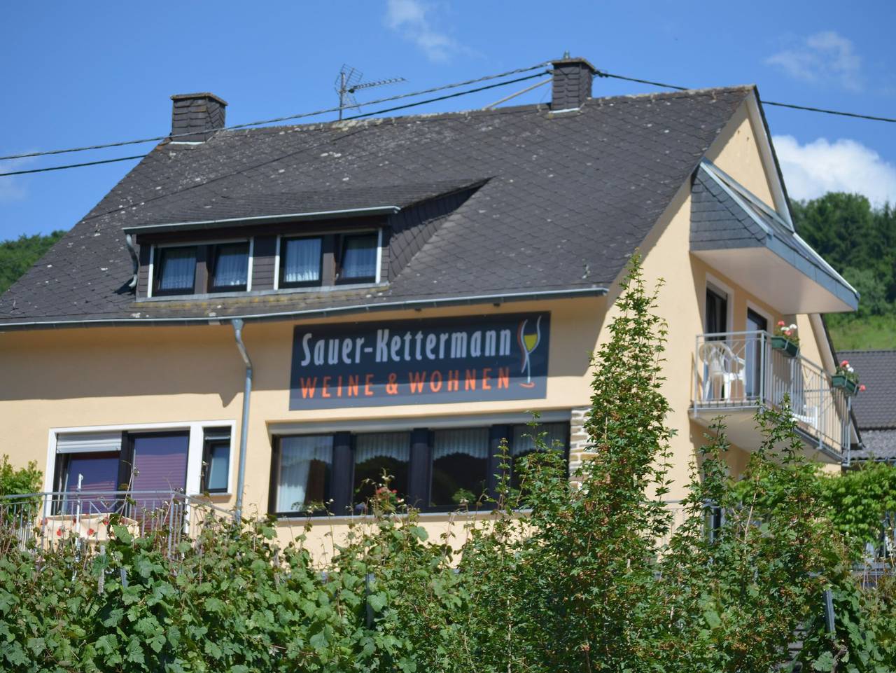 Gästehaus Sauer-Kettermann in Enkirch, Bernkastel-Kues & Umgebung