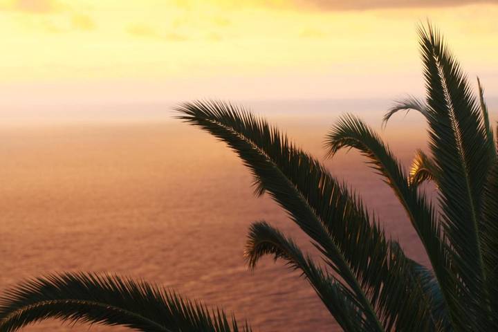 Casa rural para 20 personas, con jardín además de vistas al lago y vistas, Se admiten mascotas en El Rosario - 4