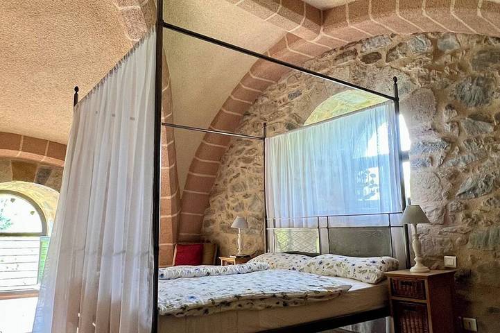 Gîte pour 12 personnes, avec jardin à Castelnau-Durban - 3