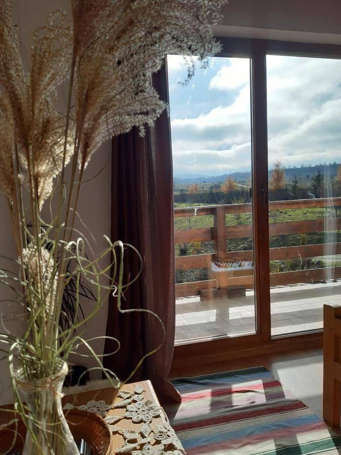 Maison d’hôte pour 4 personnes, avec vue ainsi que jardin et vue sur le lac dans Porumbacu de Sus - 3