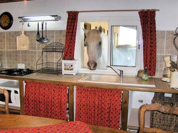 Gîte pour 4 personnes, avec terrasse et jardin, animaux acceptés dans Bac du sauvage