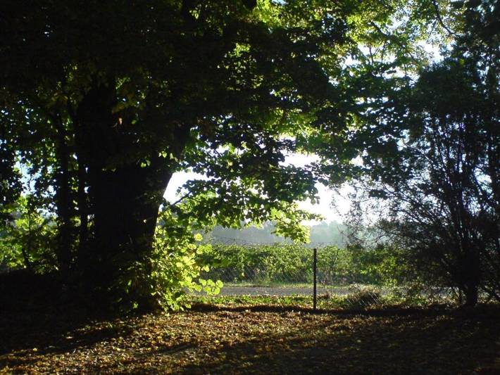 Chambre d’hôte pour 4 personnes, avec vue et jardin à Carcès - 3