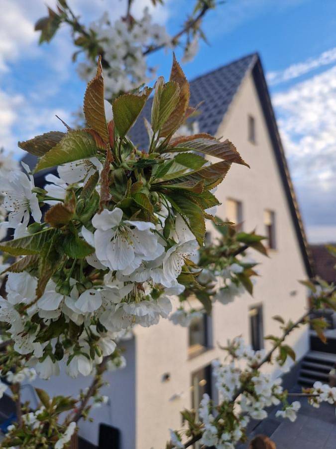 Ferienwohnung für 4 Personen, mit Terrasse