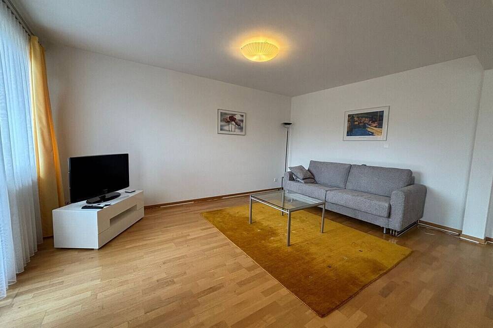 Entire apartment, Spacious 1Br near Opera - Mill 5.43 in Zurich, Zurich district