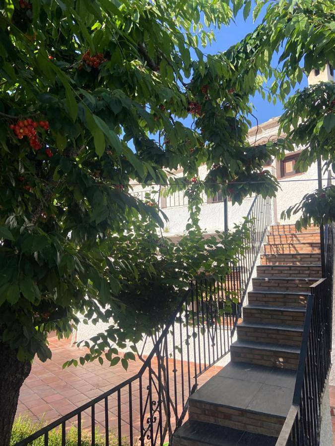 Appartement de vacances pour 6 personnes, avec vue et jardin - 1