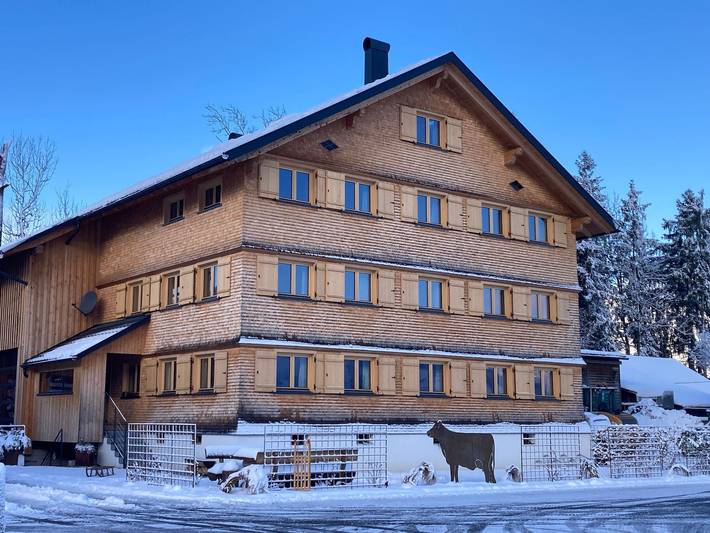 Ganze Ferienwohnung, Bregenzerwälder Appartements Familie Fink - Appartement 2 in Bregenzerwald (Vorarlberg), Andelsbuch