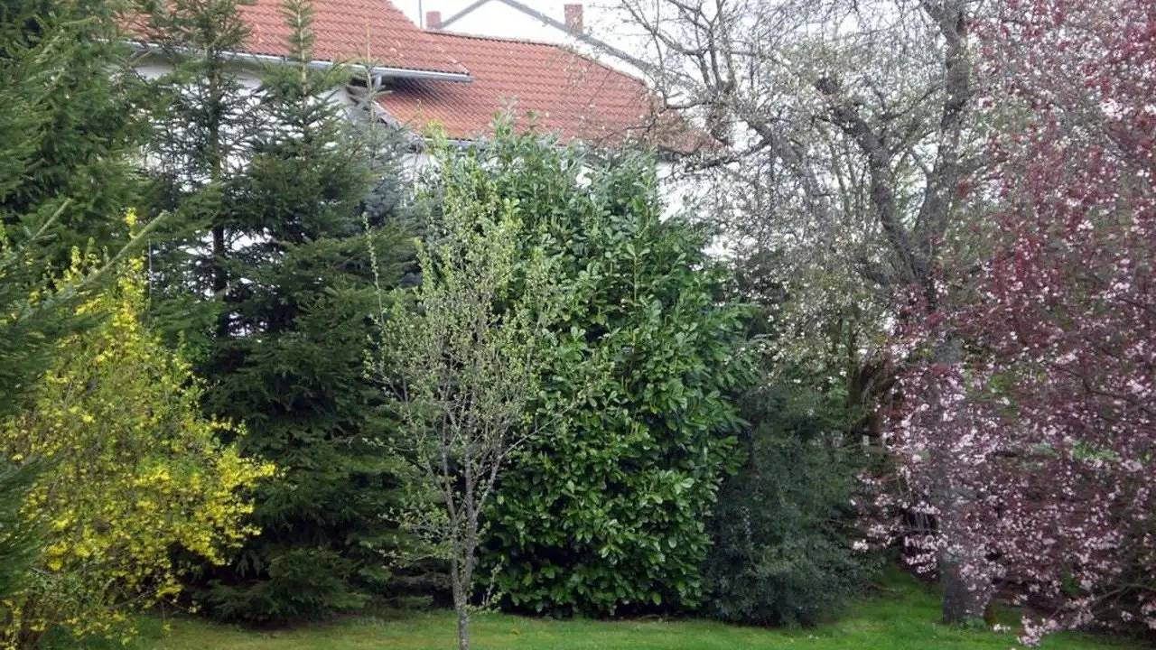 Vakantieappartement voor 5 personen met terras, foto 7