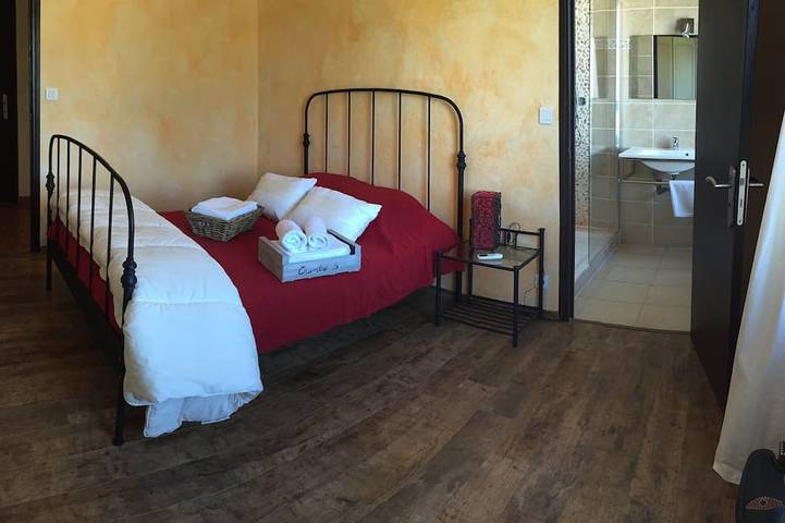 Location de vacances pour 12 personnes, avec jardin et terrasse à Saint-Bauzille-de-Putois - 2