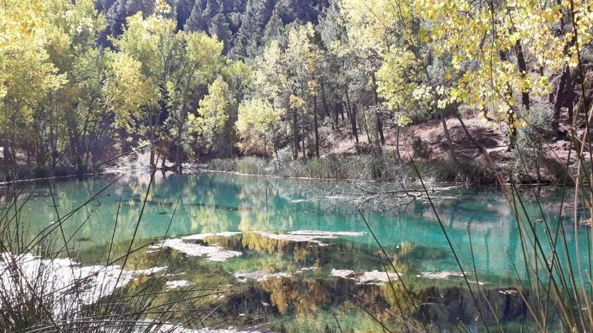 Casa rural con piscina para 8 personas, con jardín además de vistas y piscina, Se admiten mascotas en Sierra de Segura - 2