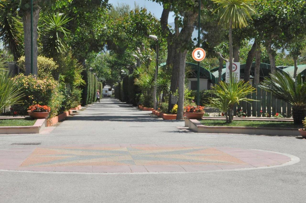 Camping Poseidonia in Licinella - Torre di Paestum, Cilento