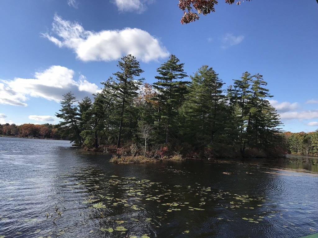 Charming Summer Lake Getaway in Sullivan County