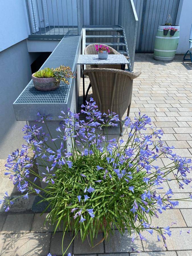 Ferienhaus für 2 Personen, mit Garten und Ausblick in Gols
