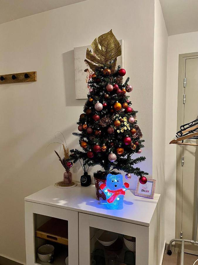 Gîte pour 2 personnes, animaux acceptés à Rives - 2