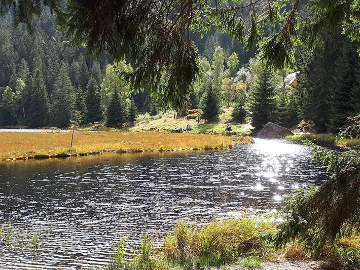 Appartement entier, Beim Wartner - Chalets & Suiten - Fewo Suite Waldstube in Teisnach, Vorderer Bayerischer Wald