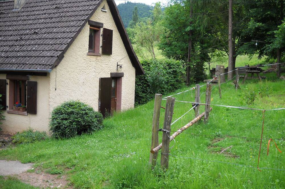 Gîte \"La Fermette\" in the Munster valley in Alsace. in Eschbach-au-Val, Parc naturel régional des Ballons des Vosges