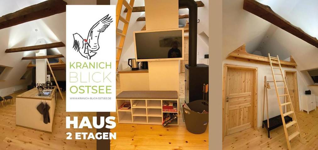 Ferienhaus für 8 Personen, mit Terrasse und Garten sowie Sauna und Ausblick in Neu Bartelshagen - 3
