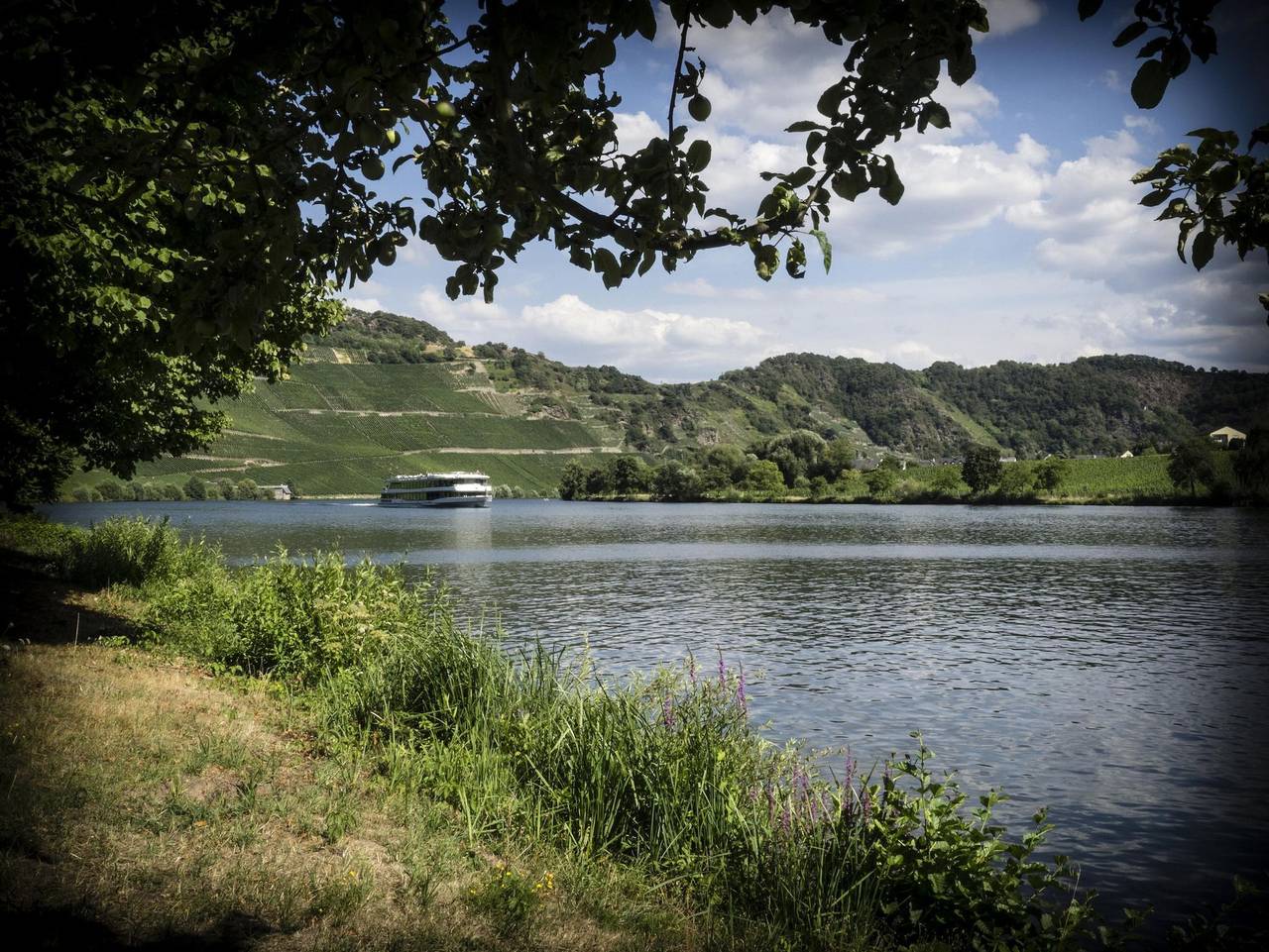 Ganze Ferienwohnung, Ferienwohnungen Klären-Weller - Ferienwohnung Goldtröpfchen in Piesport, Bernkastel-Kues & Umgebung