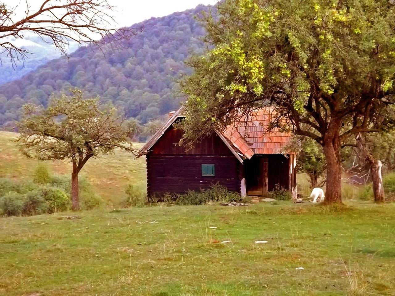 Cozo Fantu in Karpaten