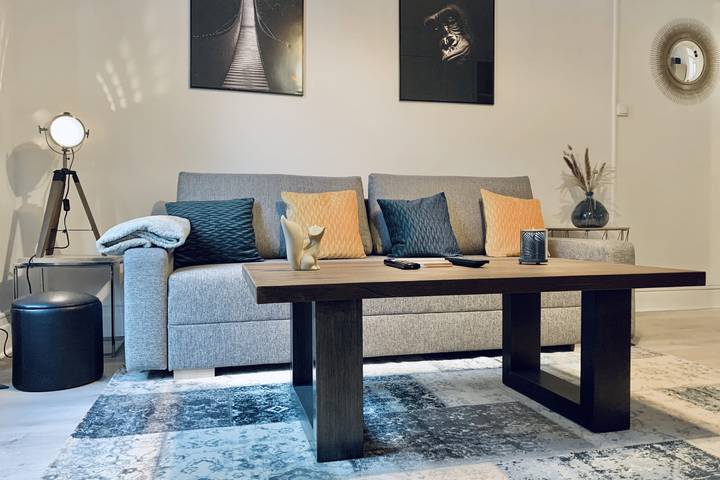 Apartamento entero, #Cl Le Majordome | City center| Renovated 👑 in Grenoble, Isère