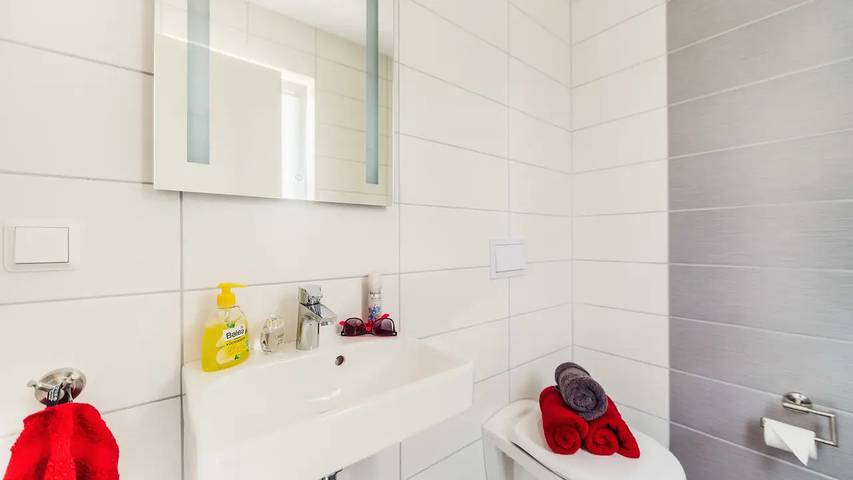 Ferienhaus für 6 Personen, mit Terrasse und Garten im Harz - 4