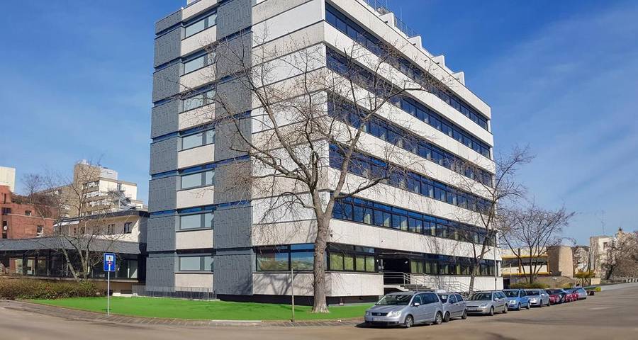 Hôtel pour 5 personnes, avec terrasse et sauna, animaux acceptés à Mannheim - 2