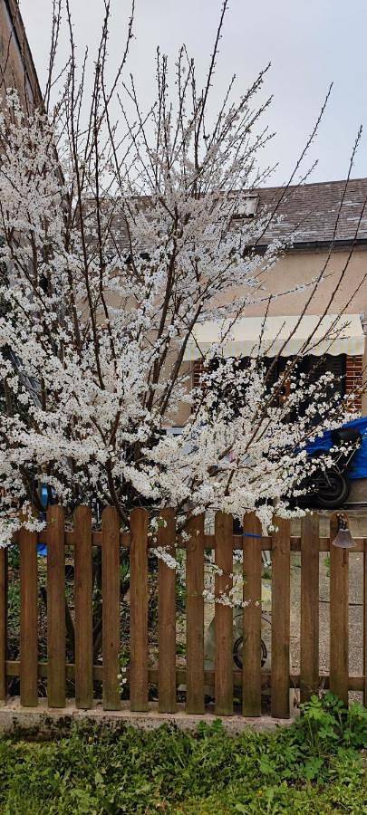 Gîte pour 2 personnes, avec terrasse à Ivoy-le-Pré - 2