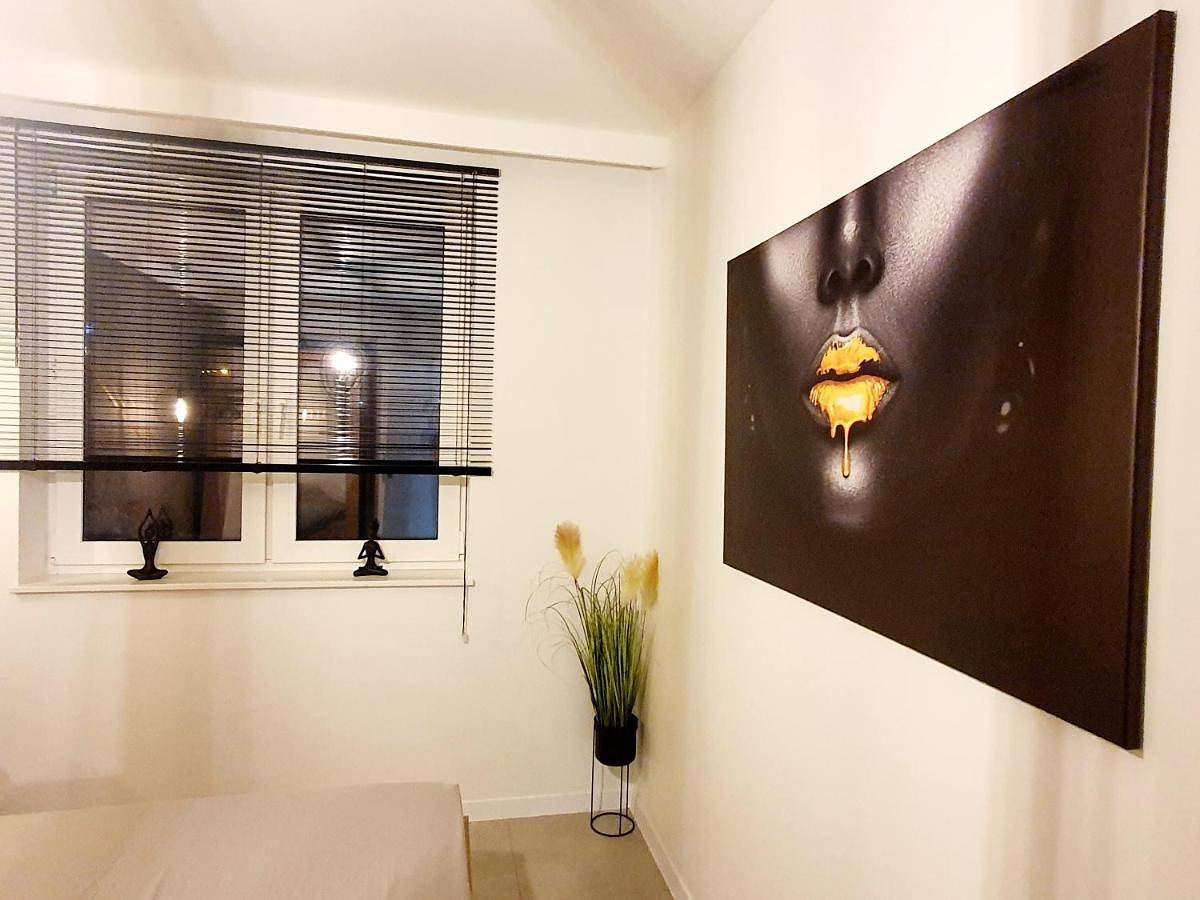 Cały apartament, One-Bedroom Apartment in Sosnowiec, Śląsk