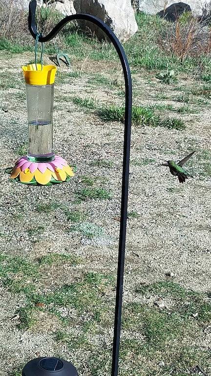 Rocky Mountain Getaway-Divide Views, Whirlpool, Skifahren, nah an alles in Gilpin County