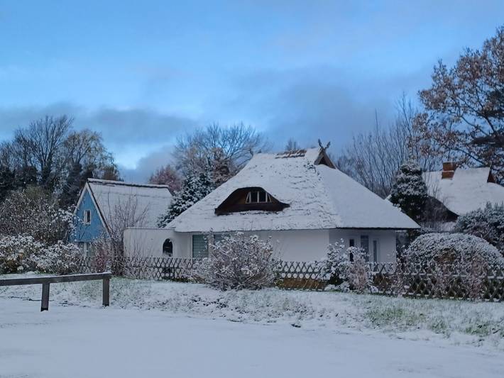 Ferienwohnung für 4 Personen, mit Garten und Terrasse, kinderfreundlich im Dierhagen Ost