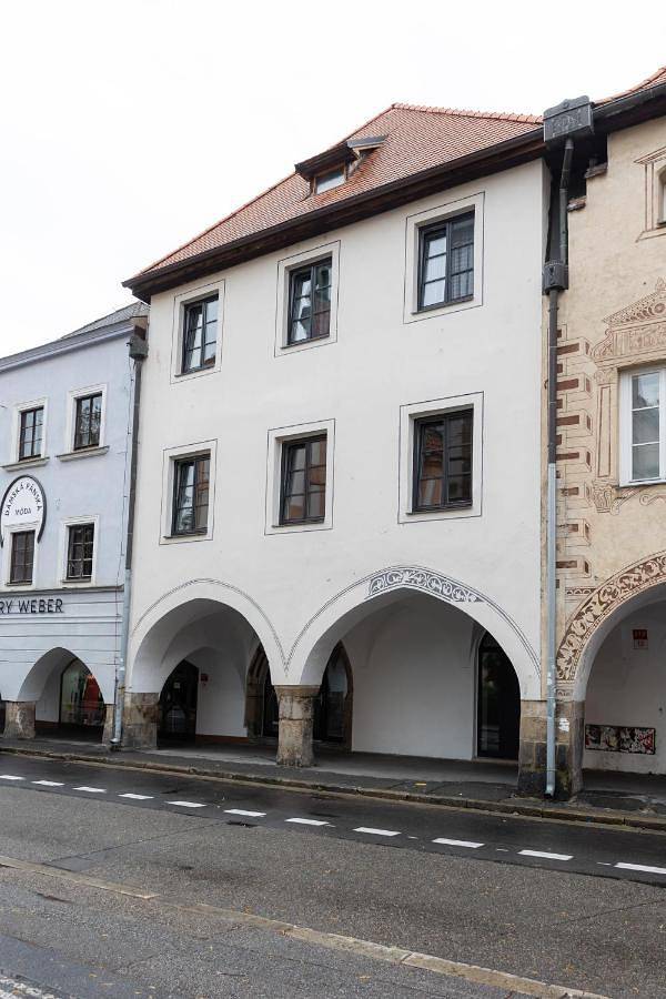 Apartament wakacyjny dla 4 osób, z widok, zwierzęta dozwolone w Czeskie Budziejowice