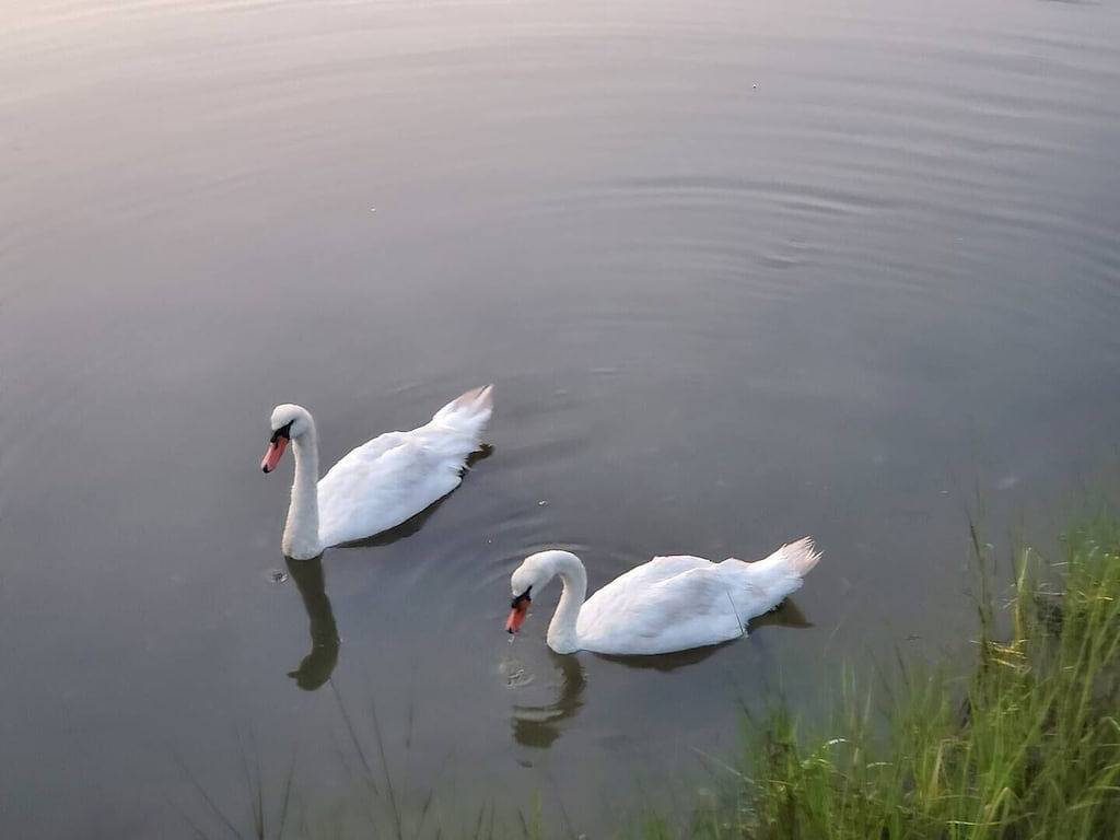 2 Bedroom Hamptons Waterfront Cottage Rental in Hampton Bays, Hamptons