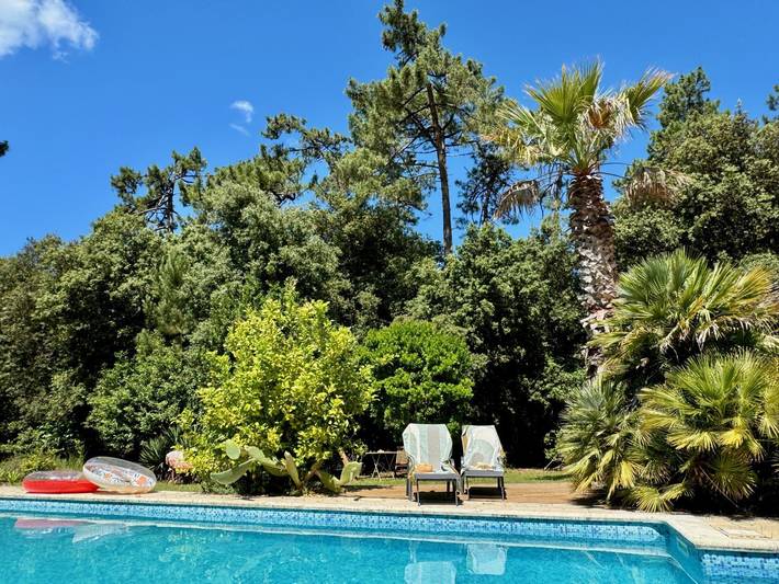 Chambre d’hôte pour 2 personnes, avec jardin et piscine sur l' Île d'Oléron - 4
