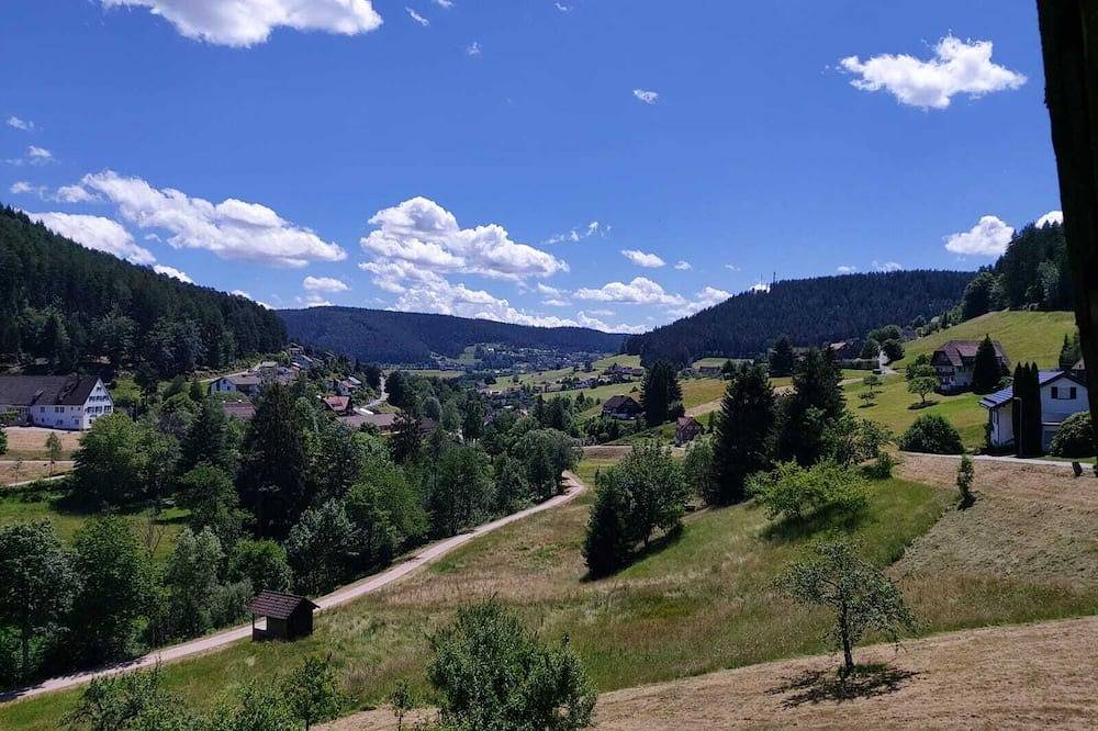 Ganze Wohnung, Willkommen im Tonbachtal-Baiersbronn - Fewo bis zu 8 Personen & Haustiere in Tonbach, Baiersbronn