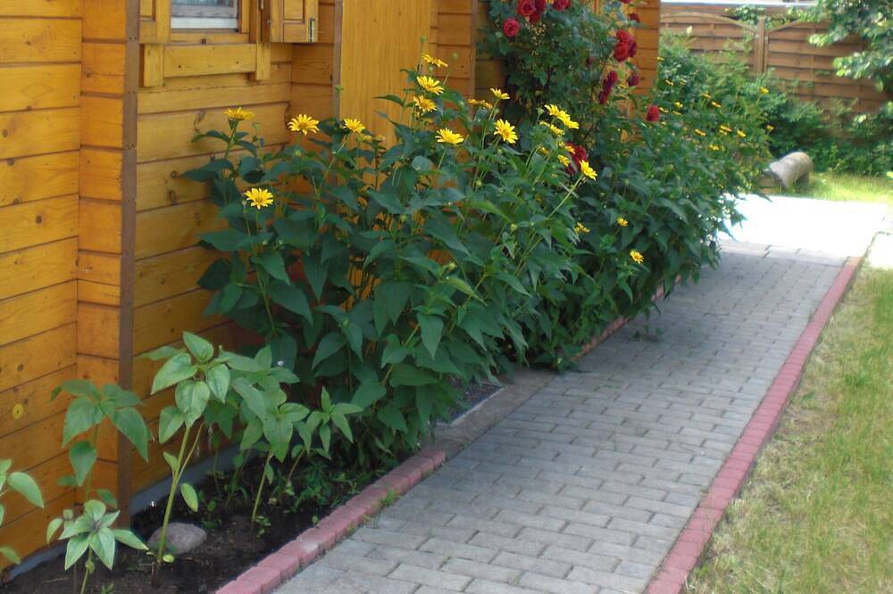 Fewo Berlinnah im romantischen Blockbohlenhaus in Zühlsdorf, Mühlenbecker Land