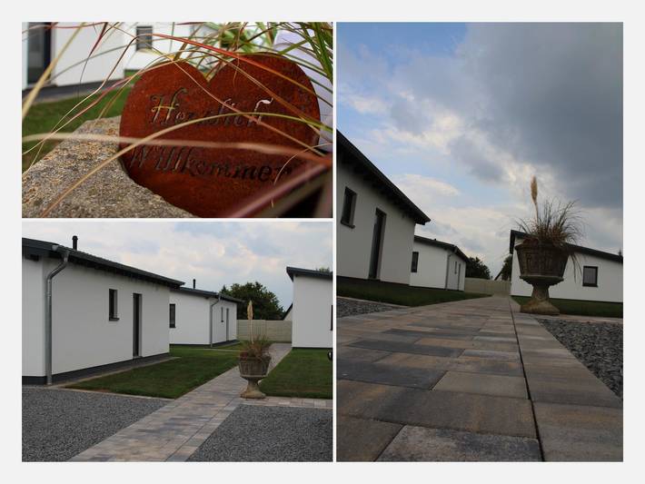 Ferienhaus für 4 Personen, mit Terrasse, mit Haustier in der Eifel - 4