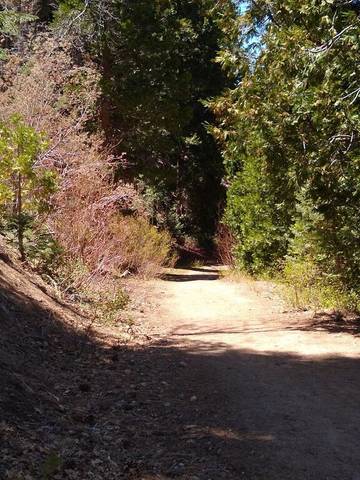 Log Cabin for 6 Guests in Snow Summit, Big Bear Lake, Picture 1