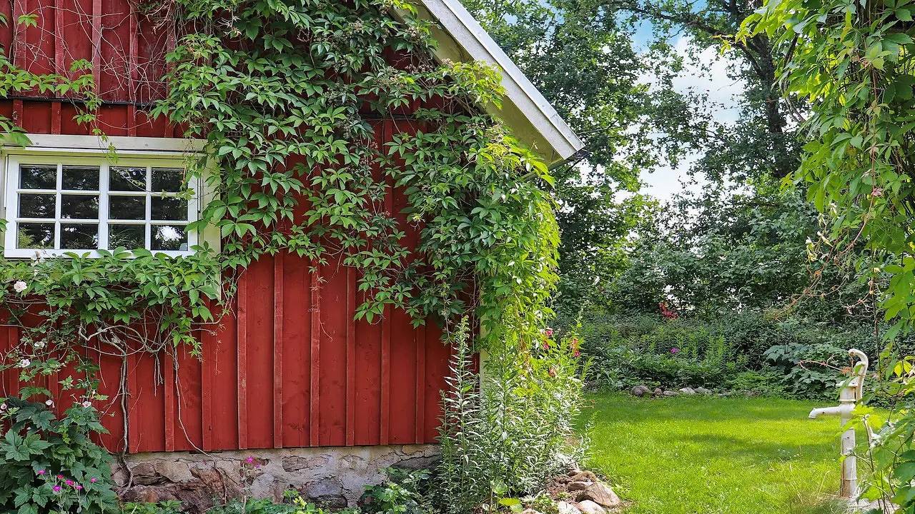 Ferienhaus für 6 Personen (120 m²) in Örkelljunga in Skåne