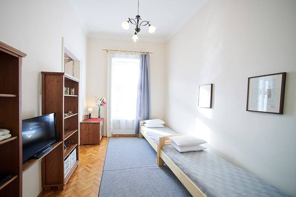 Entire apartment, Great Location Fireplace Holidays: city center, spacious, groups/family friendly in Budapest, Central Hungary