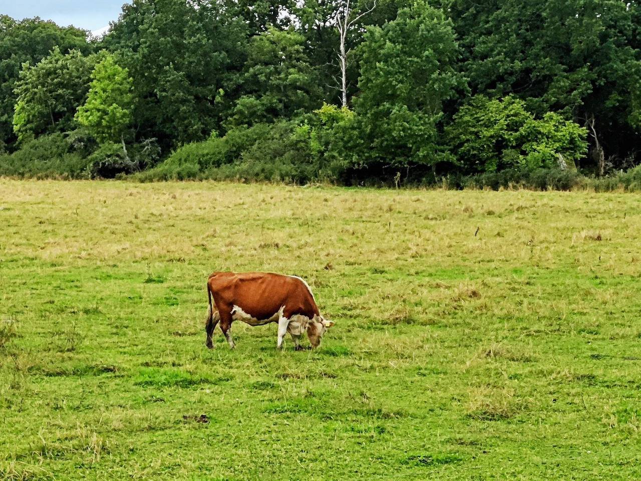 4 Personen Ferienhaus in Torshälla in Mälaren