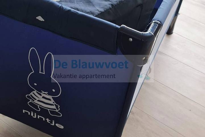 Beautiful and modern apartment "De Blauwvoet" on the beach promenade in Bruges, Côte belge