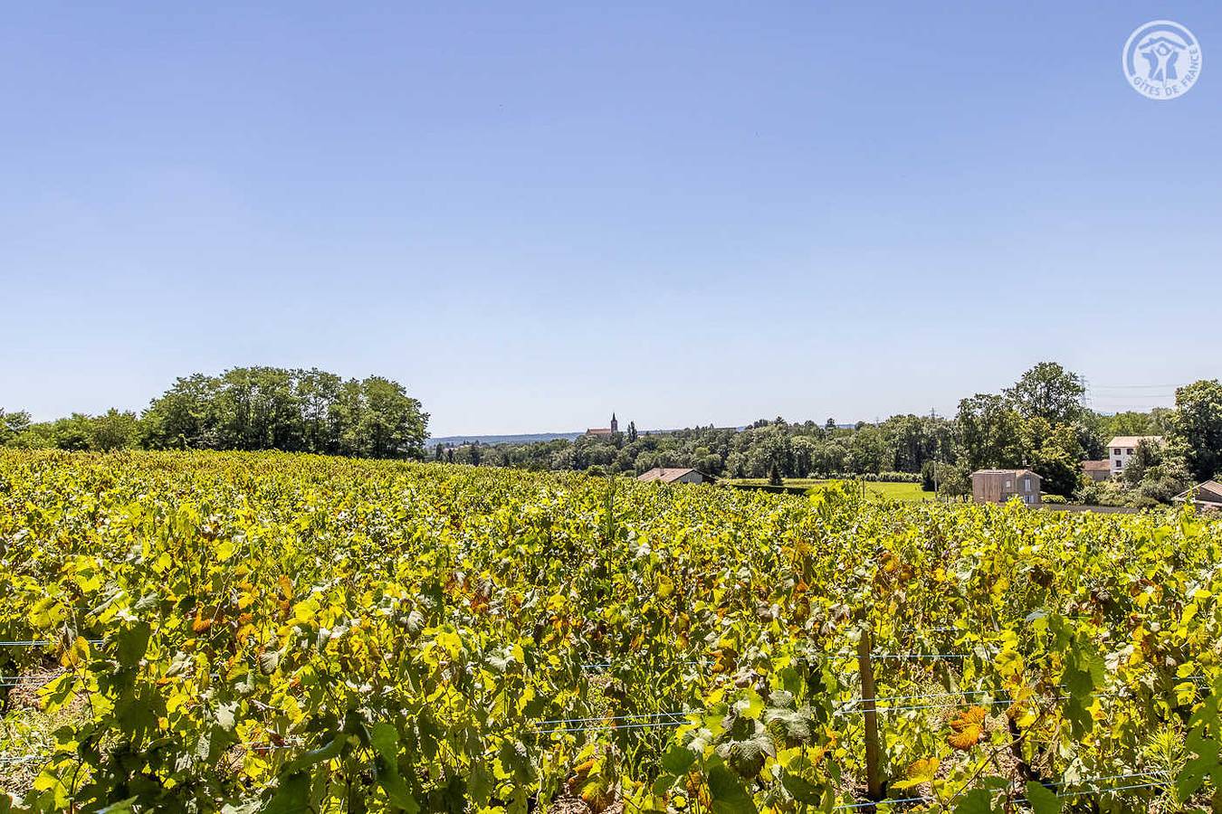 Le Logis de l’Echevin in La Chapelle-de-Guinchay, Beaujolais