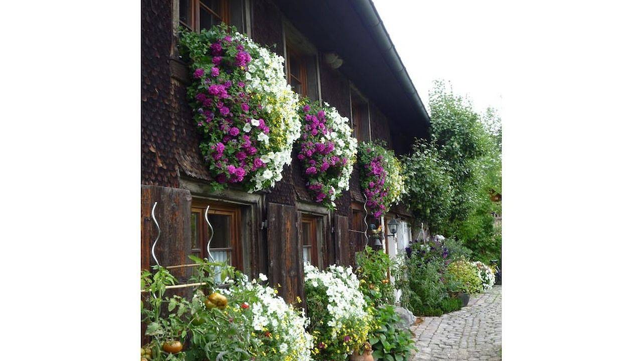 Ferienhaus für 3 Personen (75 m²) in Friedenweiler in Friedenweiler, Südschwarzwald