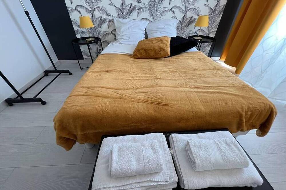 Entire apartment, Esprit Panthère, 42m2 de Charme in Mulhouse, Mulhouse region
