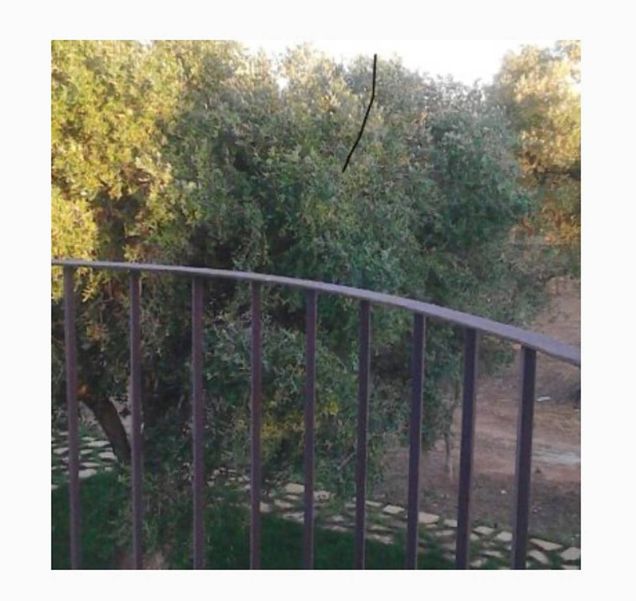 Camera 'Residenze Uliveto - Residenza 8' con piscina condivisa, terrazza privata e aria condizionata in Nardò (comune), Golfo di Taranto
