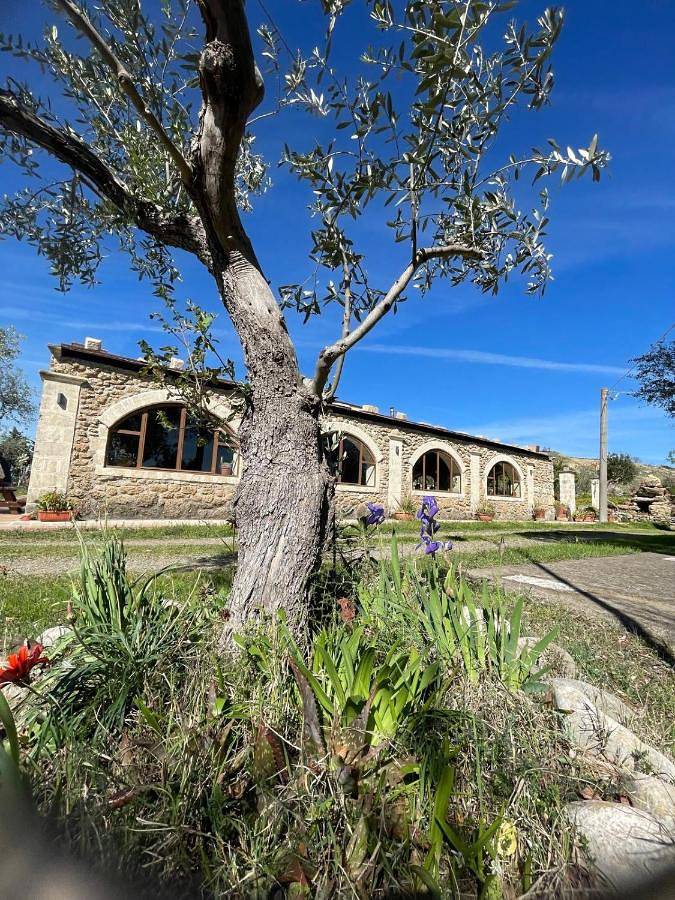 Appartamento intero, Studio Apartment in Montescaglioso, Piana del Metaponto